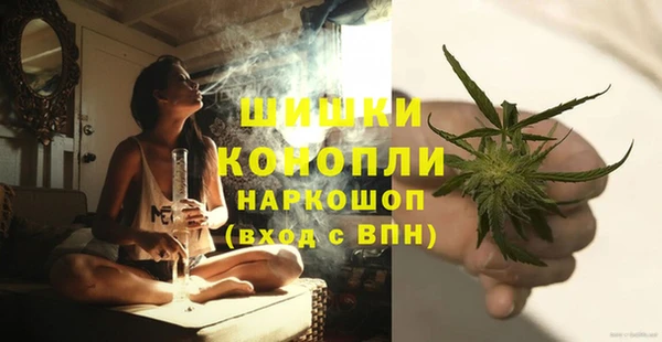 сатива Беслан
