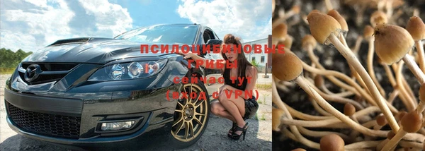 мет Нягань