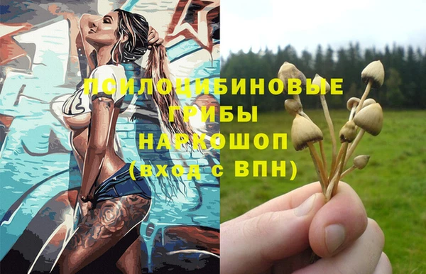 ALPHA PVP Нязепетровск