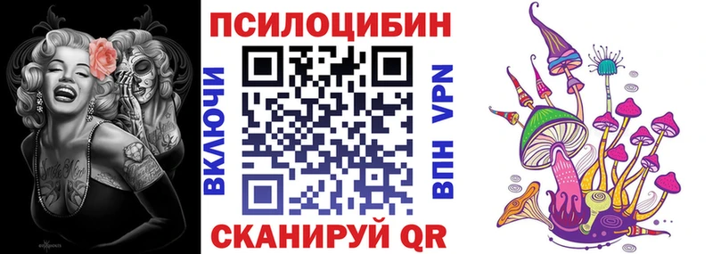 Псилоцибиновые грибы Psilocybe MEGA ТОР Великий Новгород магазин продажи наркотиков