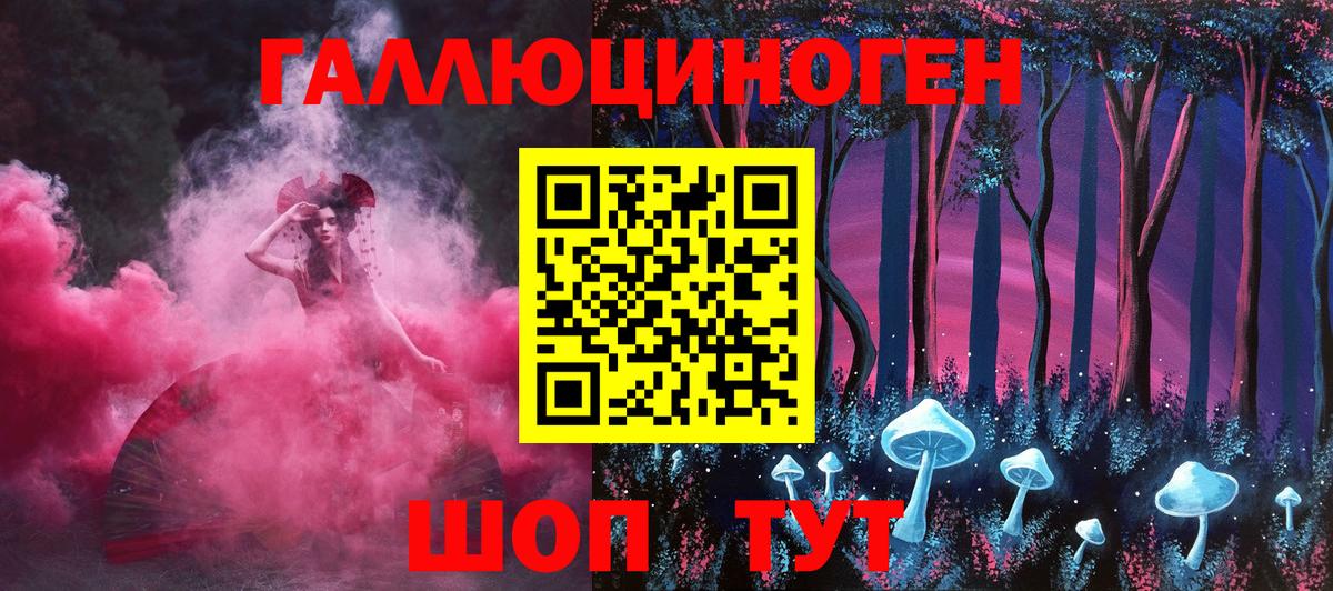 Псилоцибиновые грибы Psilocybe Великий Новгород