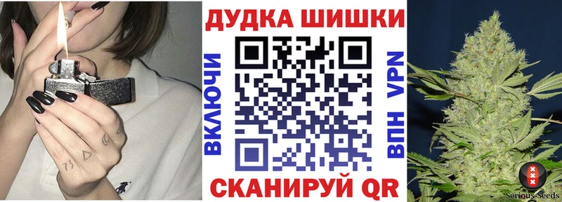 Бошки Шишки план  МЕГА   площадка как зайти  Великий Новгород 